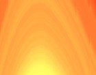 blume edv
